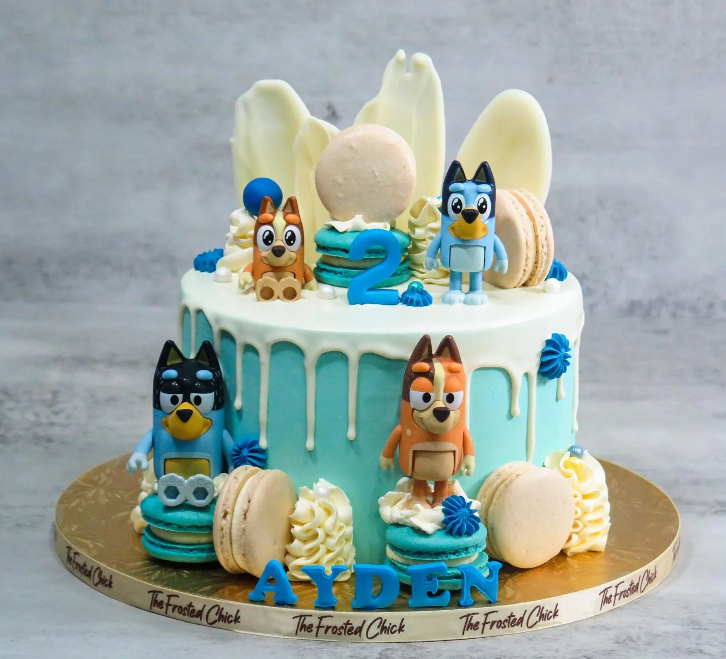 Bluey Family Drip Cake