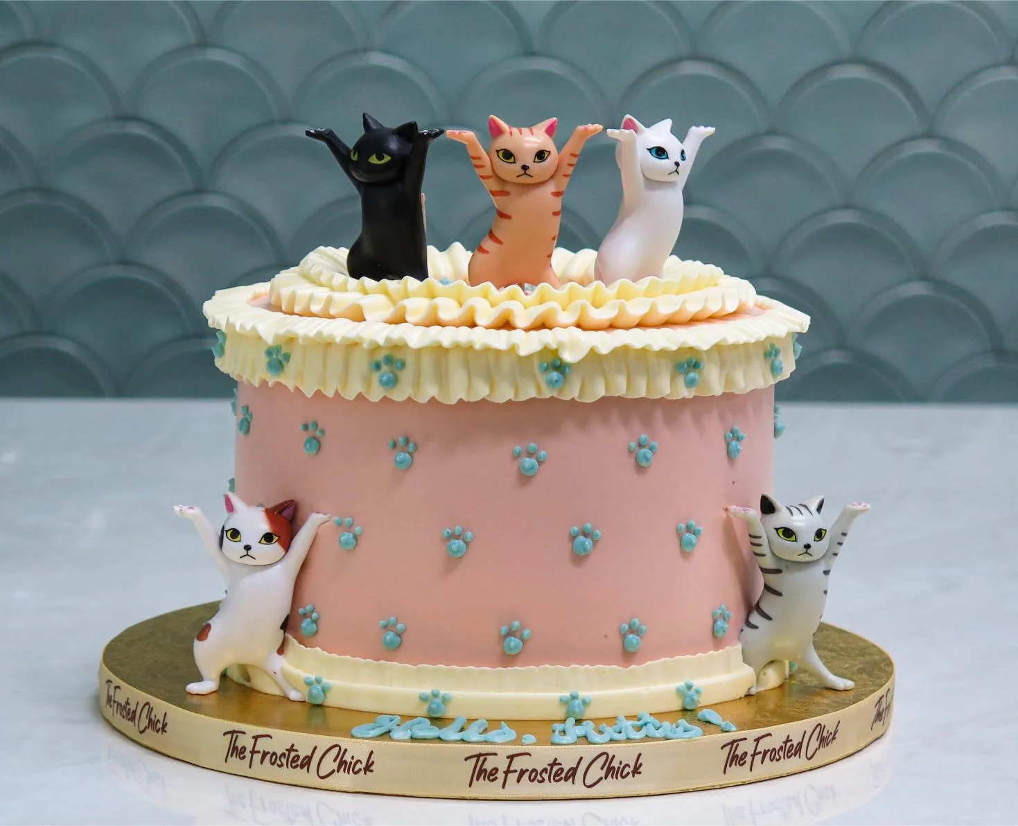 Cool Cats Cake
