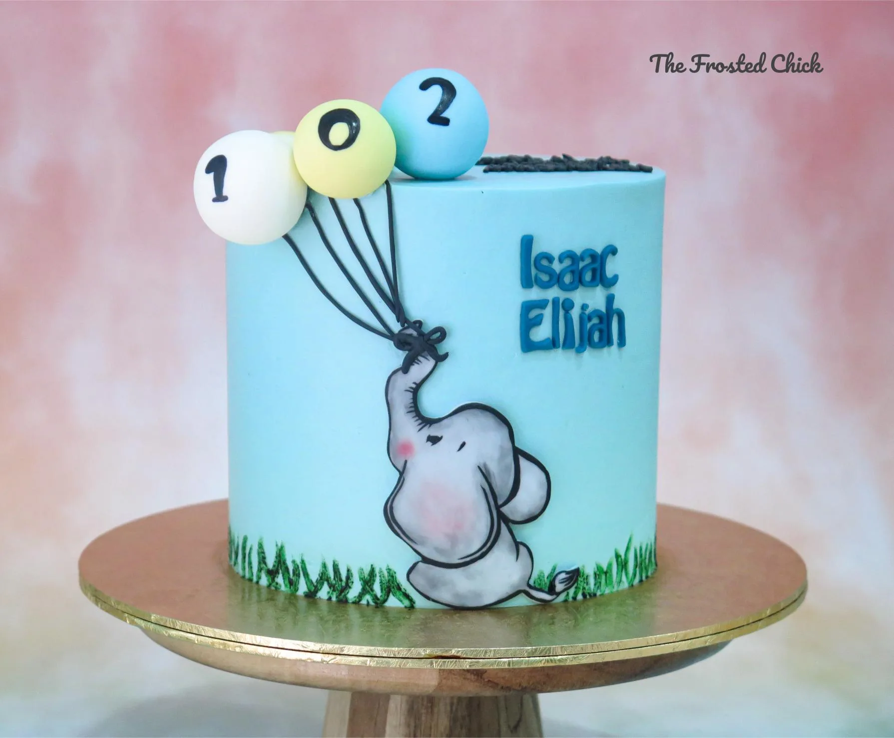 Handrawn Elephant Flight Cake