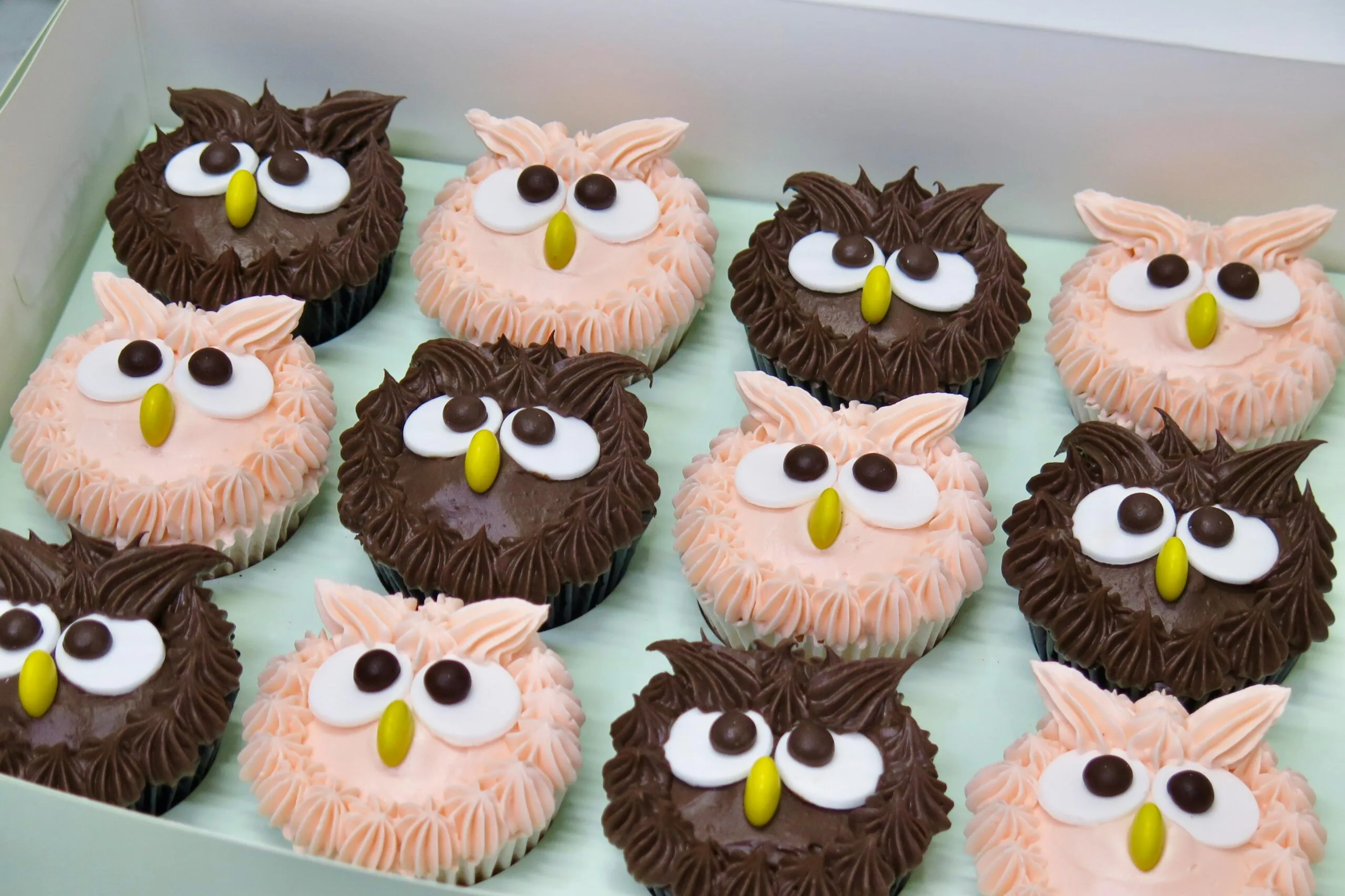 Cute Owl Cupcakes