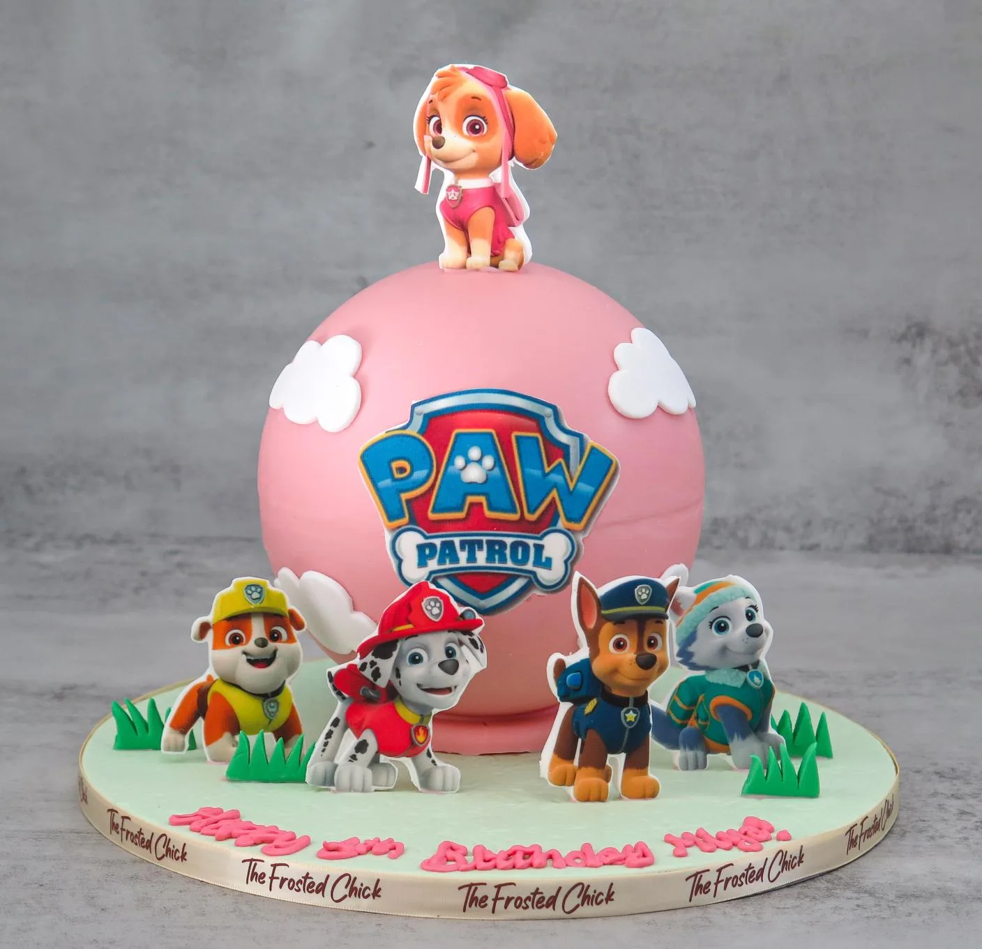Paw Patrol Inspired Piñata