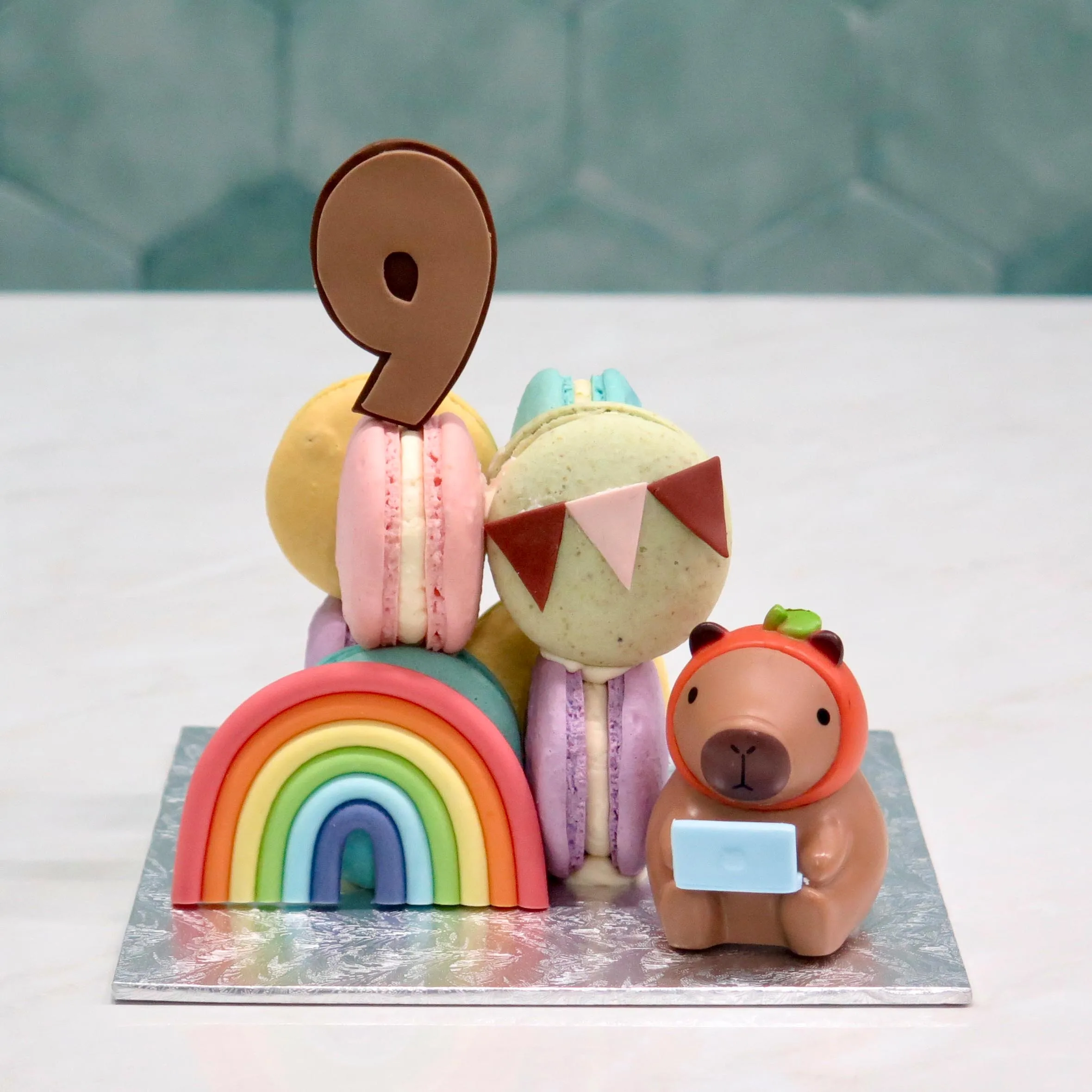 Capybara Macaron Cube Cake Set