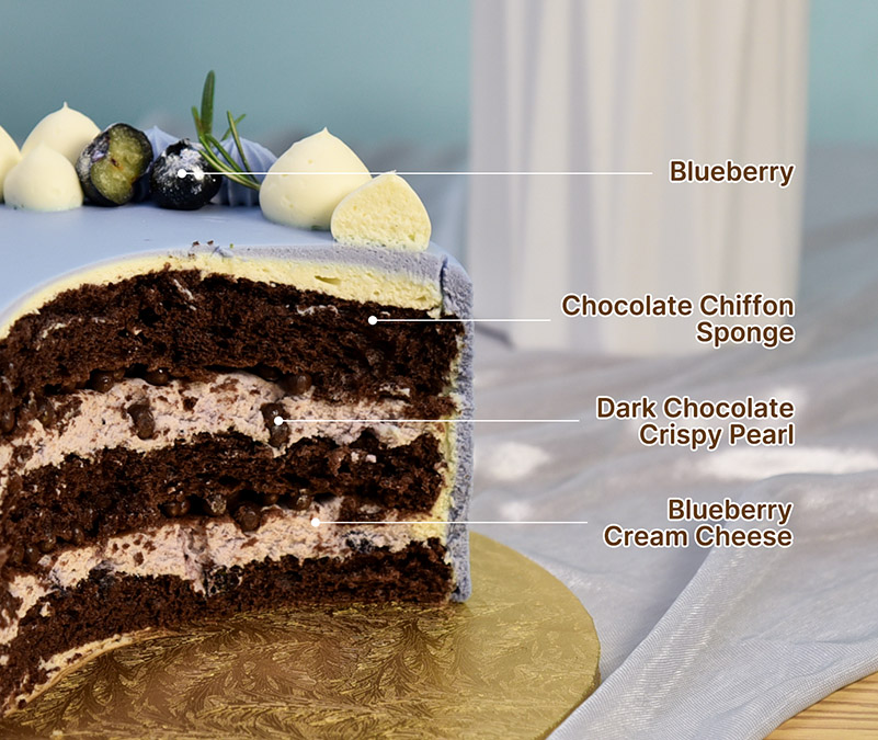 Blueberry chocolate fresh cream cake slice