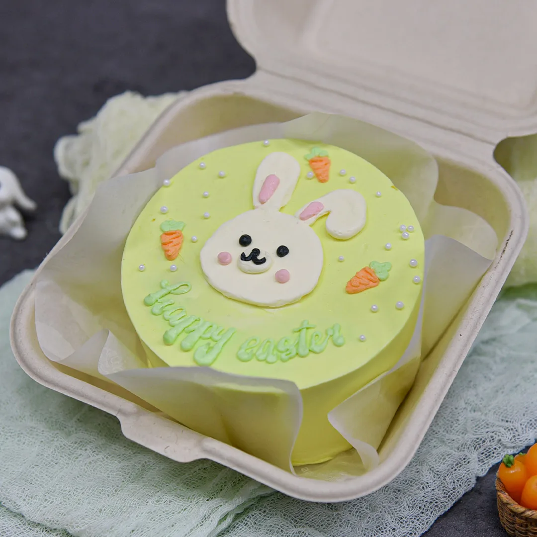 Bunny Rabbit Bento Cake