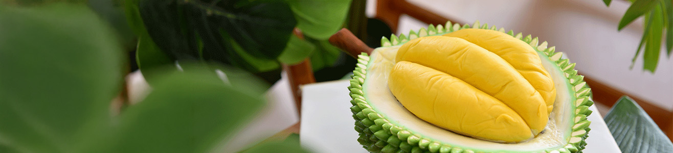 realistic durian cake