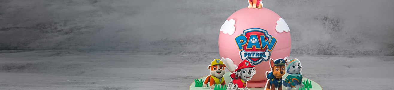 paw patrol chocolate pinata cake